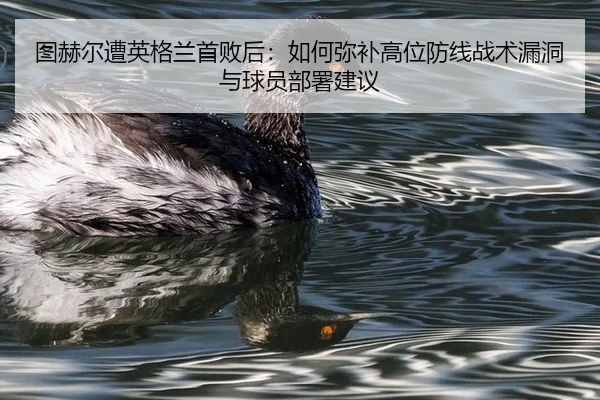 图赫尔遭英格兰首败后：如何弥补高位防线战术漏洞与球员部署建议
